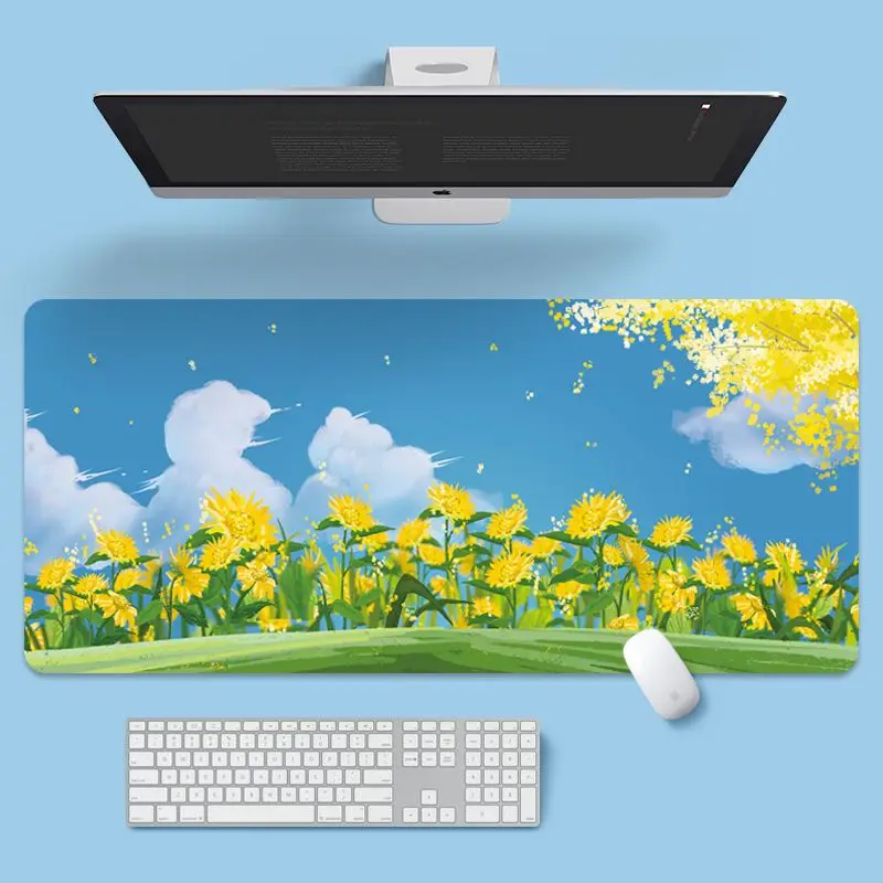 800x300x2 مم سجادة لوحة مفاتيح - مراجعة Laptop Mouse وسعره